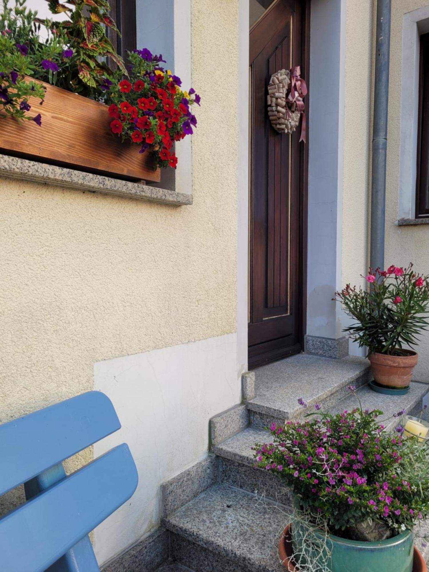 Fewo Weitblick In Hoehenlage Von Greiz Dış mekan fotoğraf